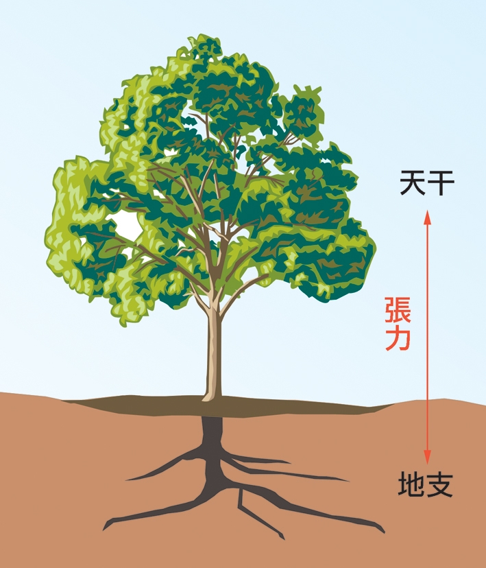 本頁圖片/檔案 - 10tree干支五行張力