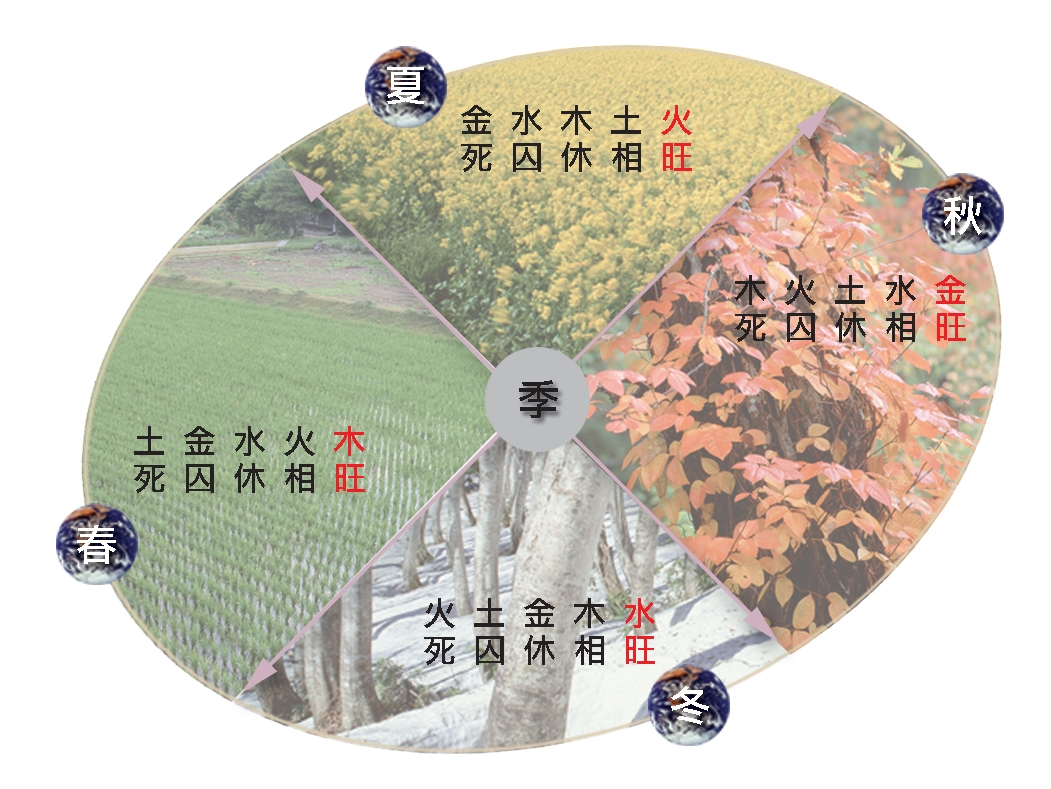 本頁圖片/檔案 - 五行相旺圖